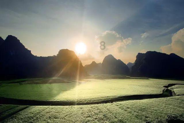 帕金森怎么才能康复？游戏画面