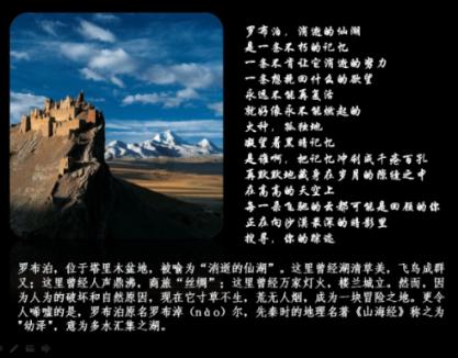 安全的港口