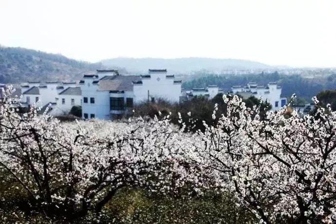 柔情女儿真英豪一一电影《绝密任务》首映式在北京举行
