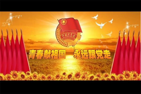 可怜猫的救援