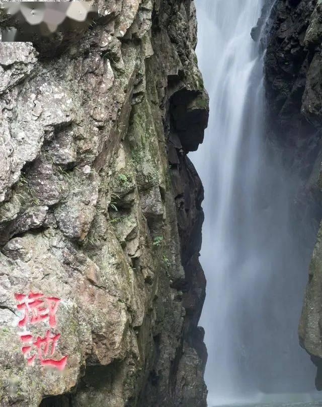 牛油果面包
