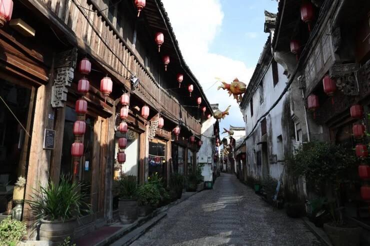 救援小棕兔